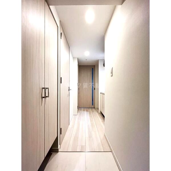 S-RESIDENCE難波大国町Deuxの室内写真55枚目