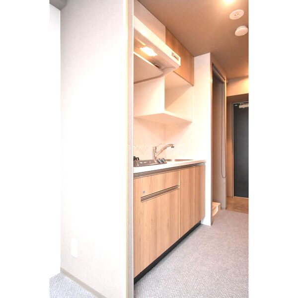 Uresidence Temmabashiの室内写真35枚目