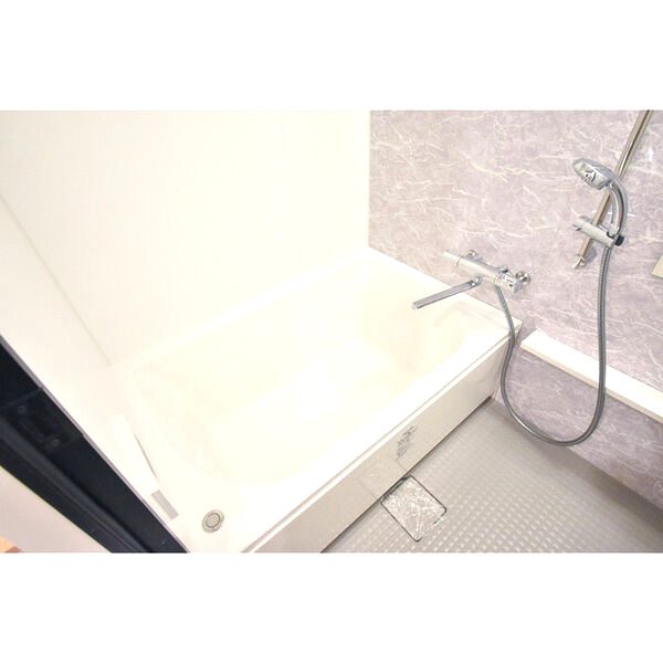 Uresidence Temmabashiの室内写真43枚目