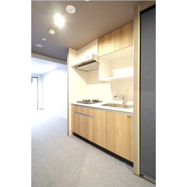 Uresidence Temmabashiの室内写真34枚目