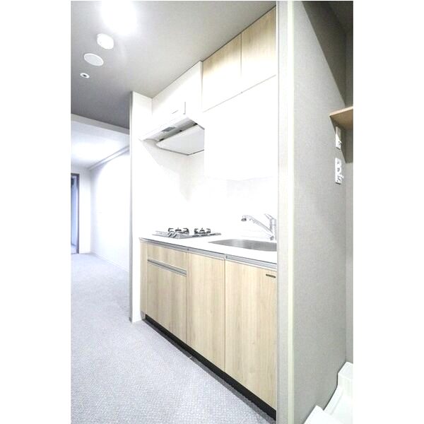 Uresidence Temmabashiの室内写真36枚目