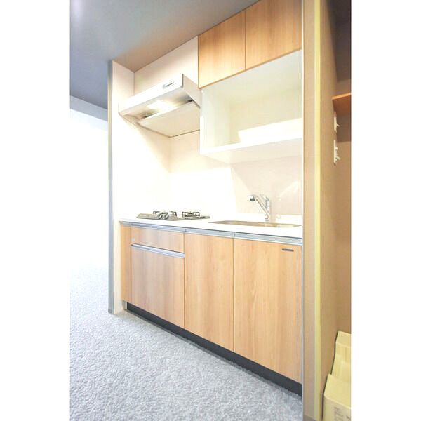 Uresidence Temmabashiの室内写真47枚目