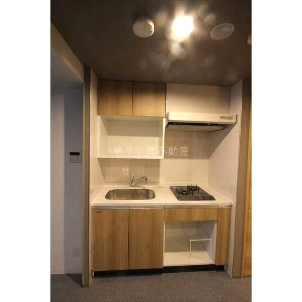 Uresidence Temmabashiの室内写真39枚目