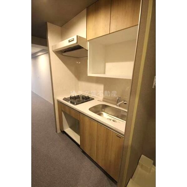 Uresidence Temmabashiの室内写真38枚目