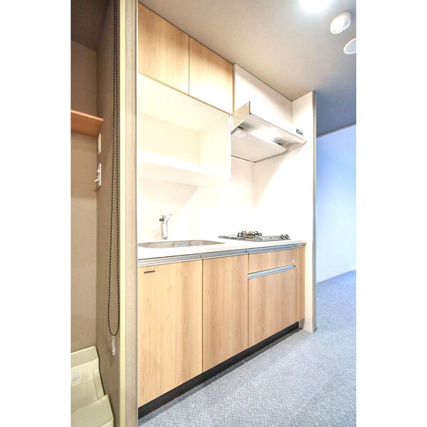 Uresidence Temmabashiの室内写真15枚目