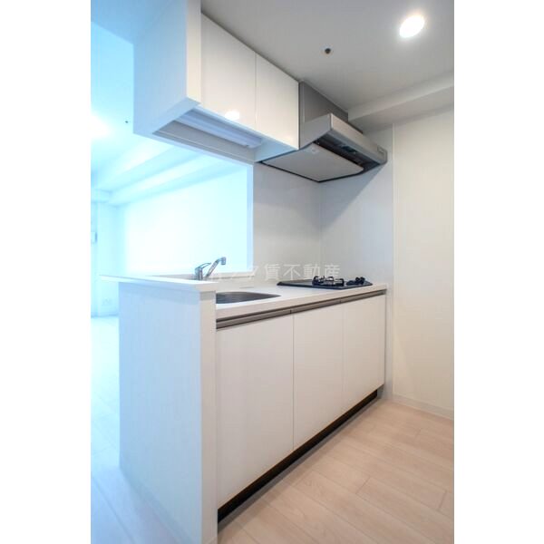 ソルテラス神戸栄町通の室内写真53枚目