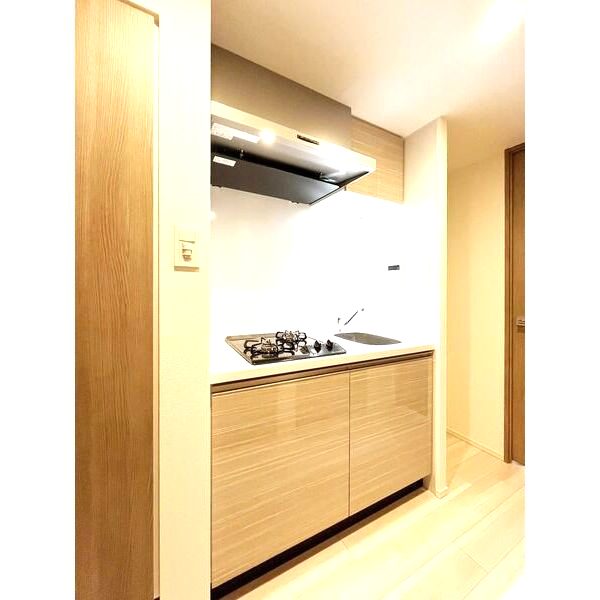 S-RESIDENCE難波大国町dominaの室内写真8枚目