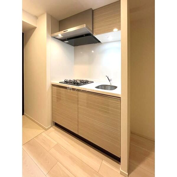 S-RESIDENCE難波大国町dominaの室内写真12枚目