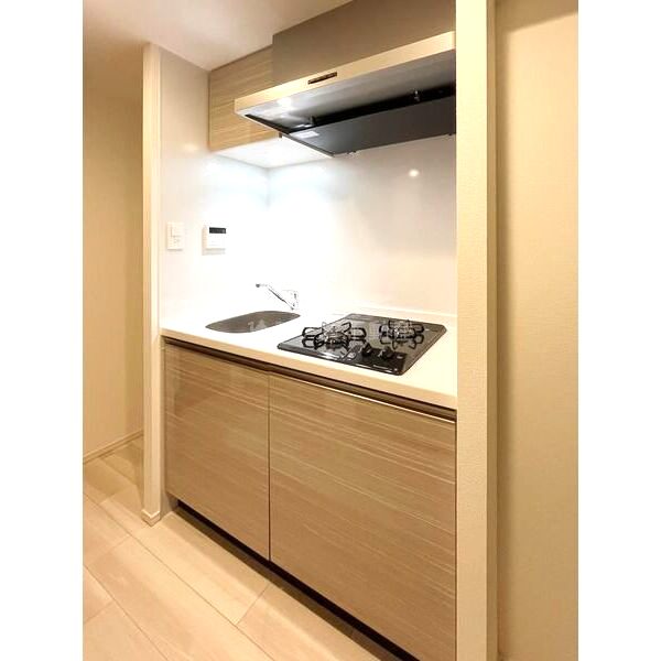 S-RESIDENCE難波大国町dominaの室内写真11枚目