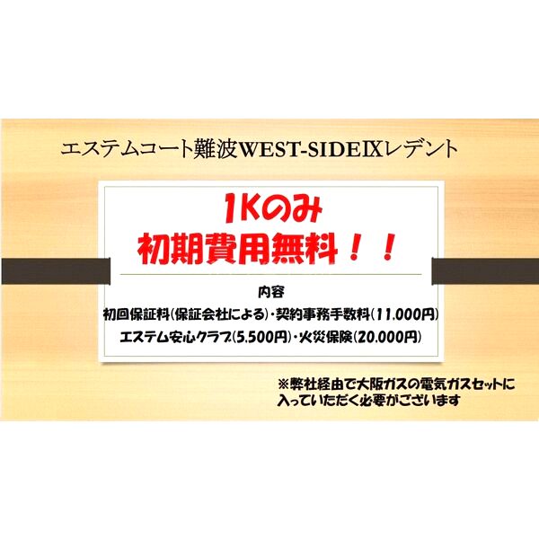 エステムコート難波WEST-SIDEIXレデントの外観6枚目
