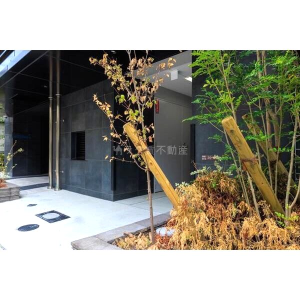 ラ・ピシーヌ南堀江の外観5枚目