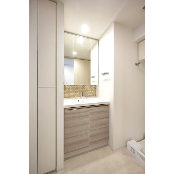 ザ・パークハビオ谷町六丁目テラスの室内写真12枚目