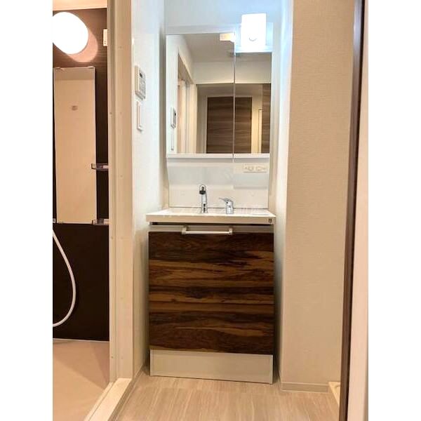 スワンズシティ神戸湊川 IIの室内写真34枚目