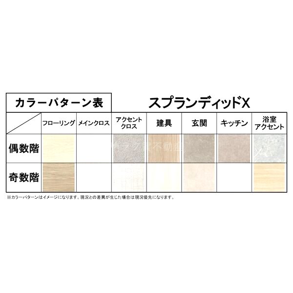 スプランディッドX(テン)の外観3枚目