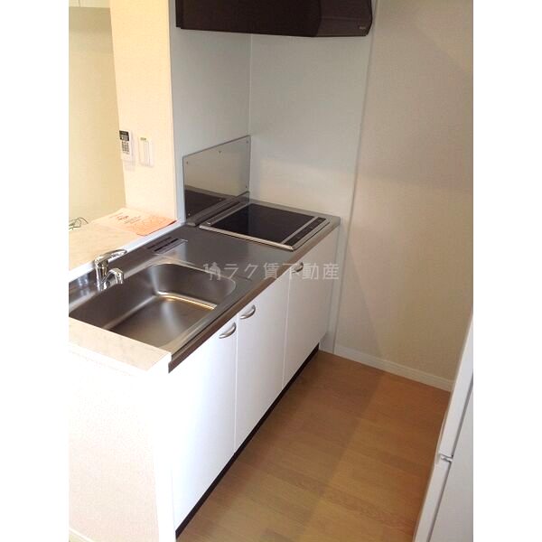 レオネクストリバーサイドIIの室内写真37枚目