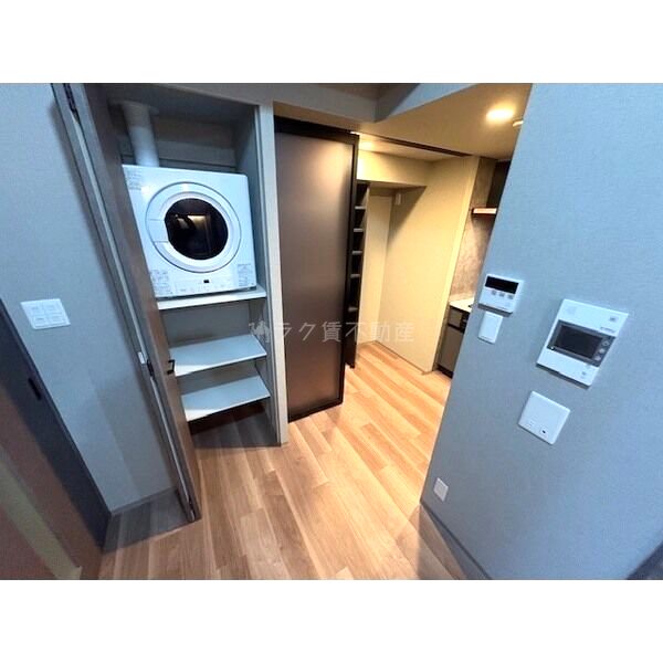 エスリードレジデンス ザ・グラン南堀江の室内写真239枚目