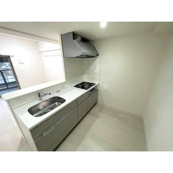 フェンテ・イーストIIの室内写真37枚目