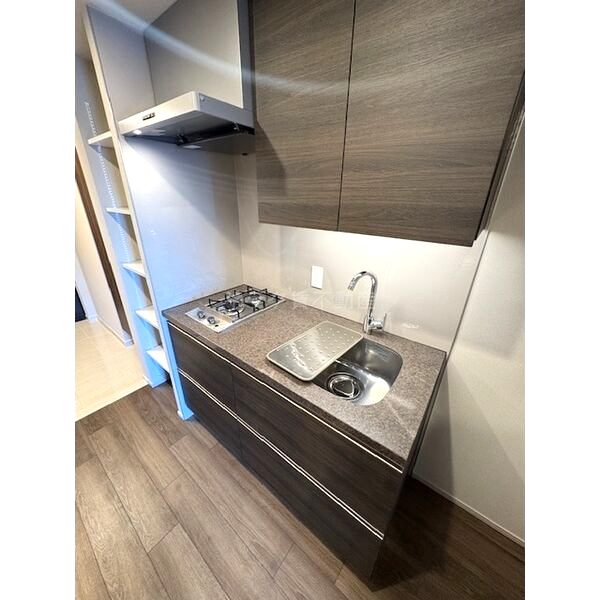 ザ・パークハビオ都島フロントの室内写真15枚目