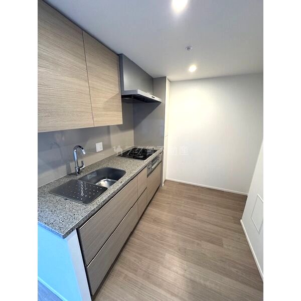 ザ・パークハビオ都島フロントの室内写真14枚目