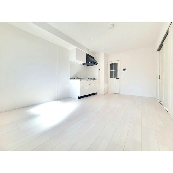 Louis Apartment 長瀬ノールの室内写真29枚目