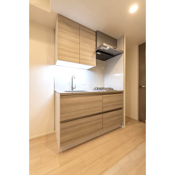 ザ・パークハビオ同心プレイスの室内写真12枚目