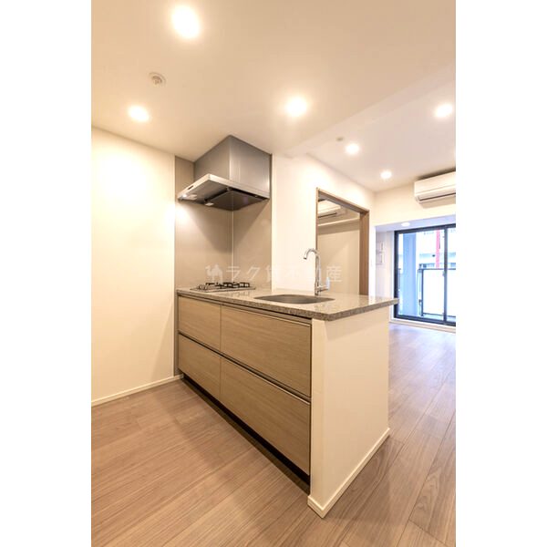 ザ・パークハビオ同心プレイスの室内写真15枚目