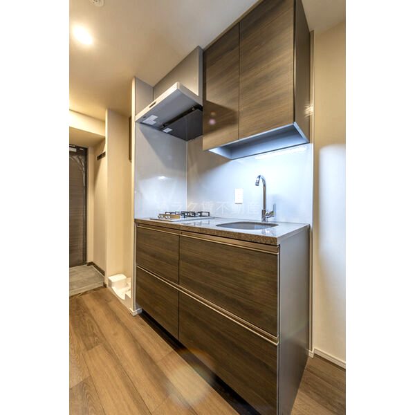 ザ・パークハビオ同心プレイスの室内写真6枚目