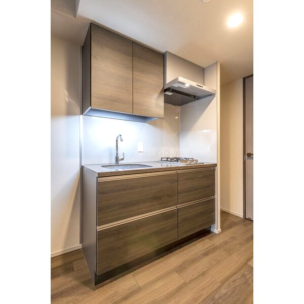 ザ・パークハビオ同心プレイスの室内写真5枚目