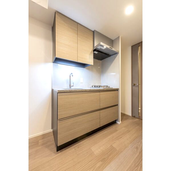 ザ・パークハビオ同心プレイスの室内写真29枚目