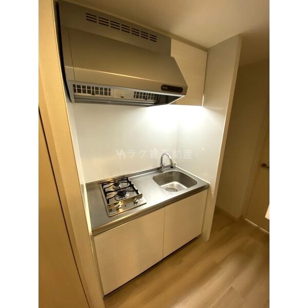 PHOENIX VILLA りんくうの室内写真16枚目