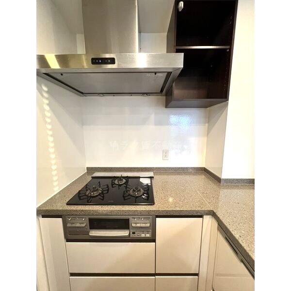 ブランズタワー大阪備後町の室内写真6枚目