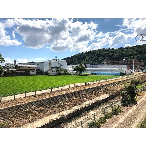 レオネクストトランクィルの室内写真23枚目