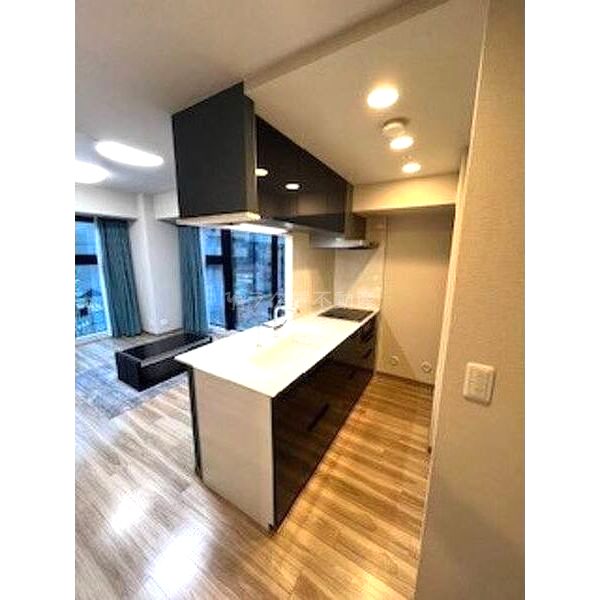 プレサンスレジェンド堺筋本町タワの室内写真2枚目