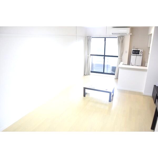 レオネクストリバーサイドIの室内写真13枚目