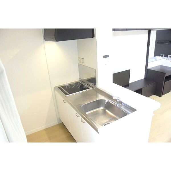 レオネクストリバーサイドIの室内写真18枚目