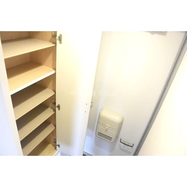 レオネクストリバーサイドIの室内写真9枚目