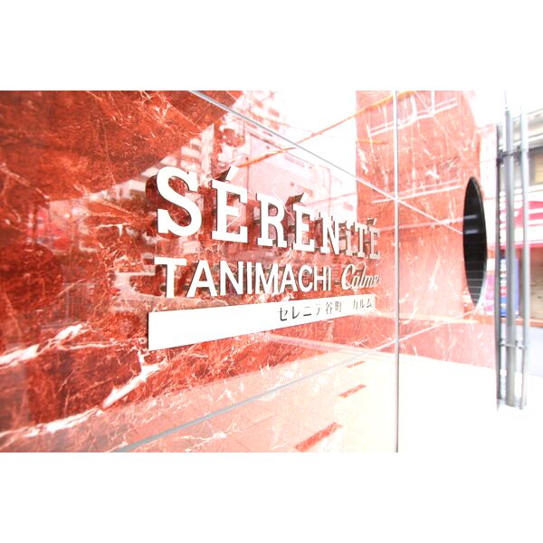 セレニテ谷町calme(カルム)の外観3枚目