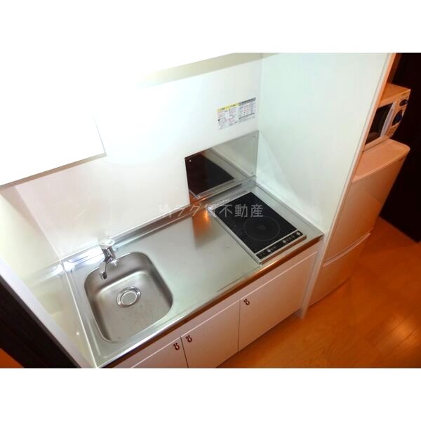 レオネクスト朝陽の室内写真11枚目