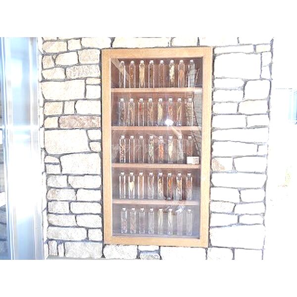 Jacaranda Yard Aの外観3枚目