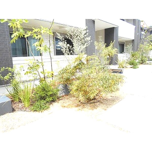 Jacaranda Yard Aの外観6枚目