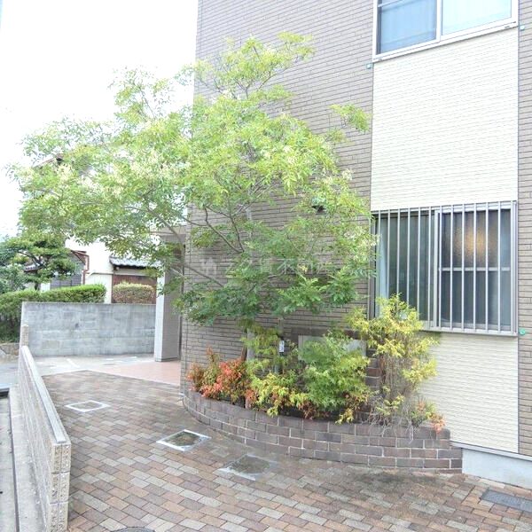 Centro Paese (セントロ パエ-ゼ)の外観7枚目