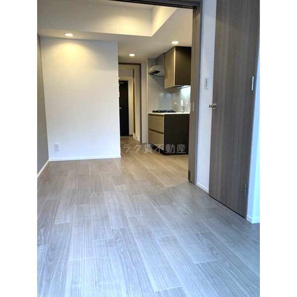 ザ・パークハビオ同心の室内写真13枚目