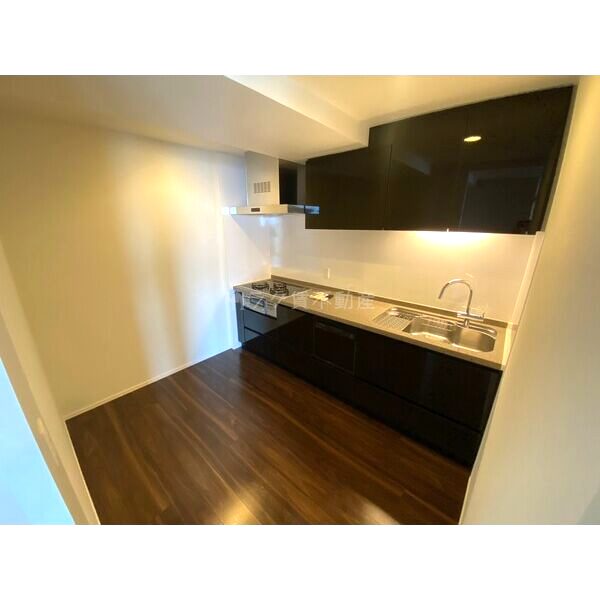 ブランズタワー南堀江の室内写真3枚目