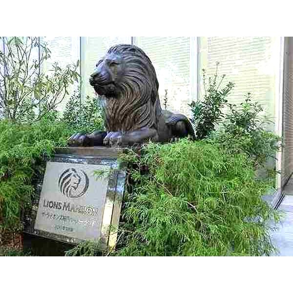 ザ・ライオンズ神戸ハーバーランドの室内写真1枚目