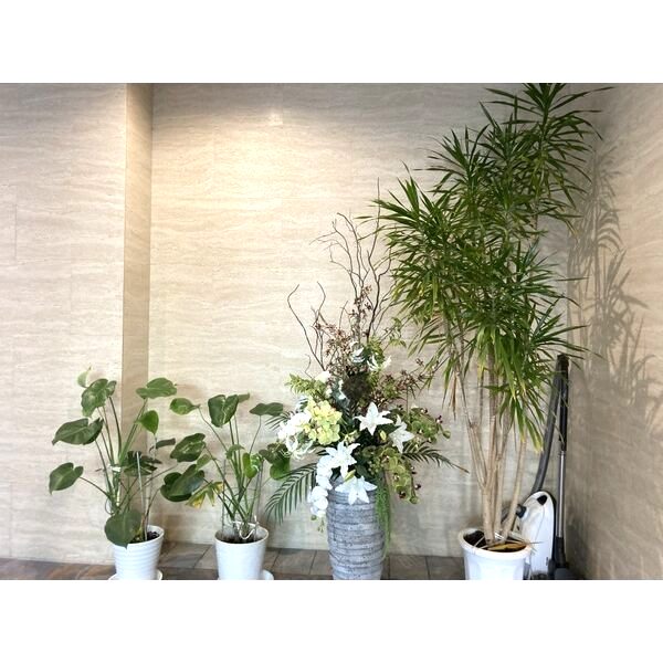 MIKI GARDENの外観9枚目