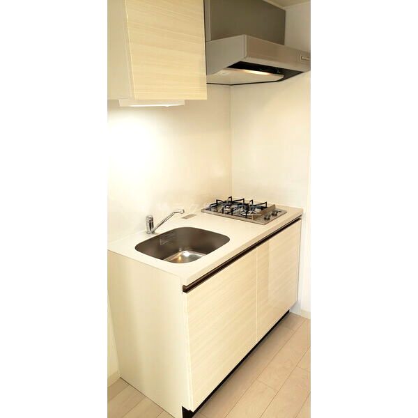 THE RESIDENCE Sの室内写真27枚目