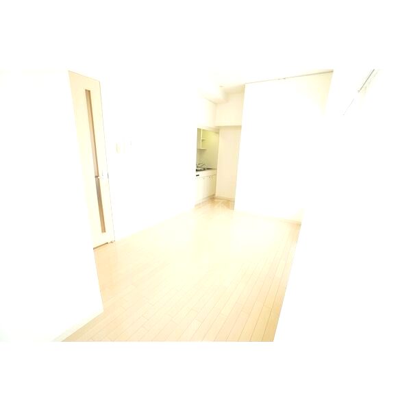 ドゥーエ江坂IIIの室内写真27枚目