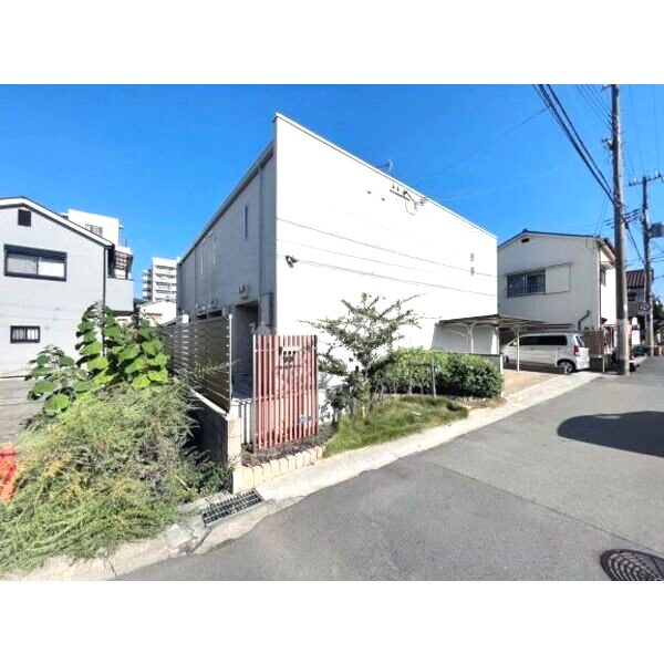 ミランダKona Wind