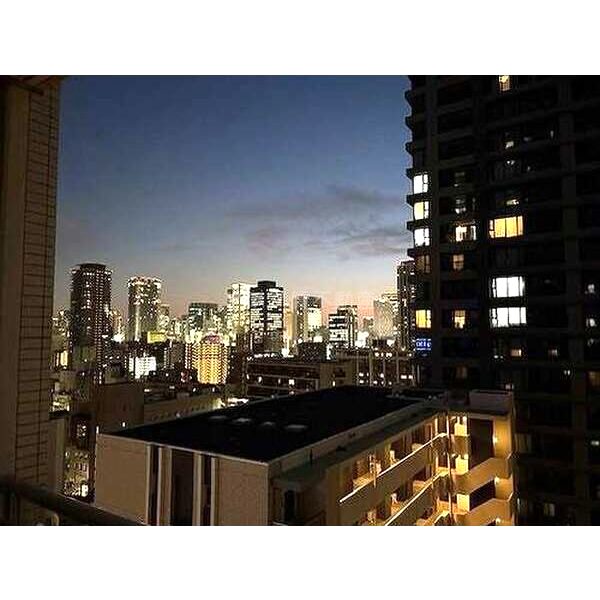 アデニウムタワー梅田の室内写真2枚目