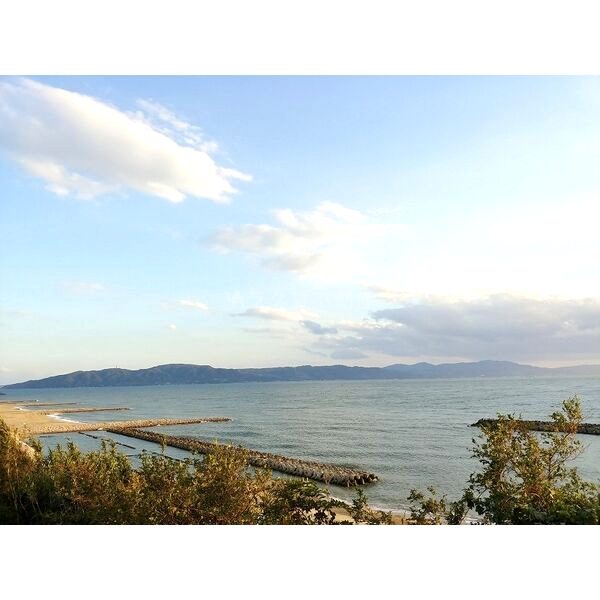 レオネクスト輝の室内写真10枚目